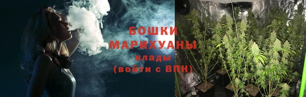 прущие грибы Горно-Алтайск
