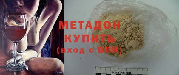 прущие грибы Горно-Алтайск