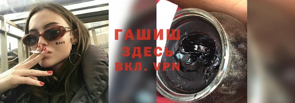 прущие грибы Горно-Алтайск