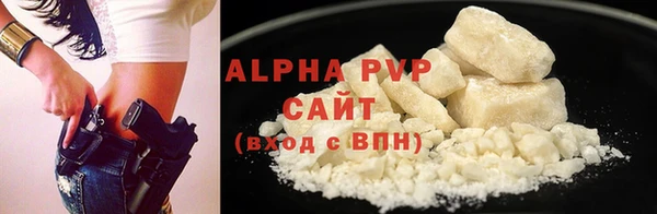 прущие грибы Горно-Алтайск