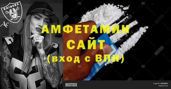 прущие грибы Горно-Алтайск