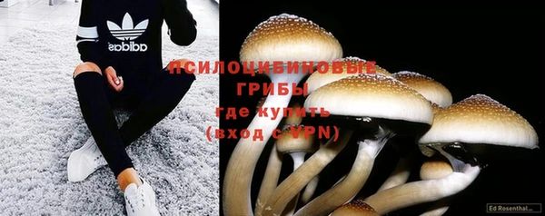 ешки Горнозаводск