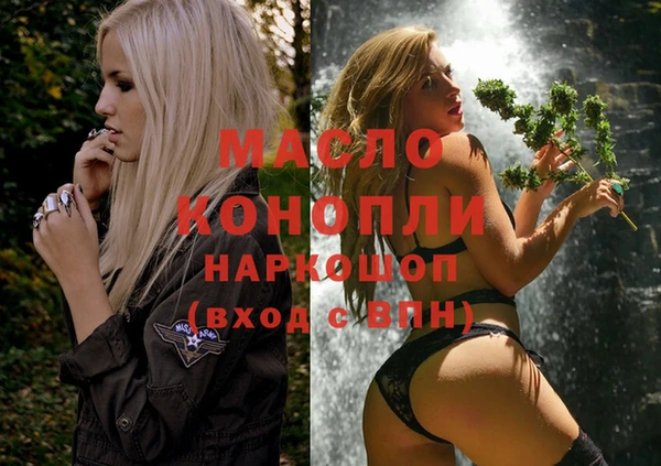 прущие грибы Горно-Алтайск