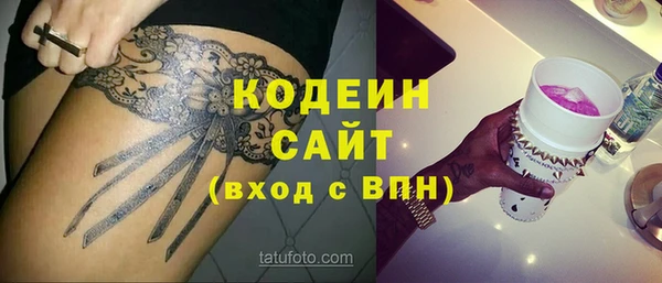 прущие грибы Горно-Алтайск